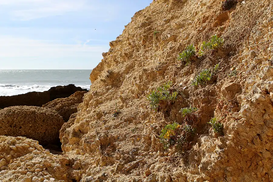 024 | 2013 | Cabo Roche | © carsten riede fotografie
