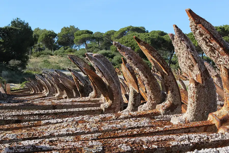 035 | 2013 | Cabo Roche | © carsten riede fotografie