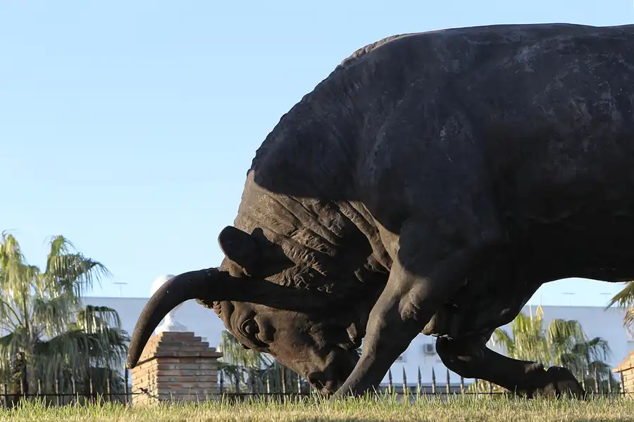 042 | 2013 | El Puerto De Santa Maria | © carsten riede fotografie