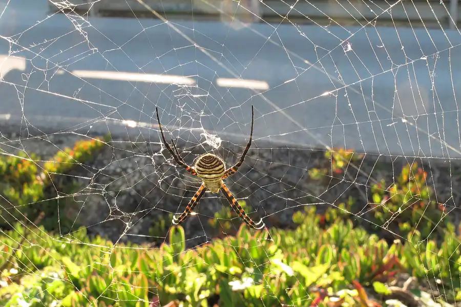 086 | 2013 | Jerez De La Frontera | © carsten riede fotografie
