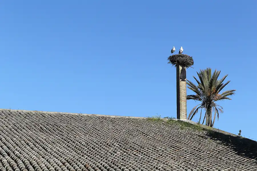 101 | 2013 | Jerez De La Frontera | Bodegas Sandeman | © carsten riede fotografie