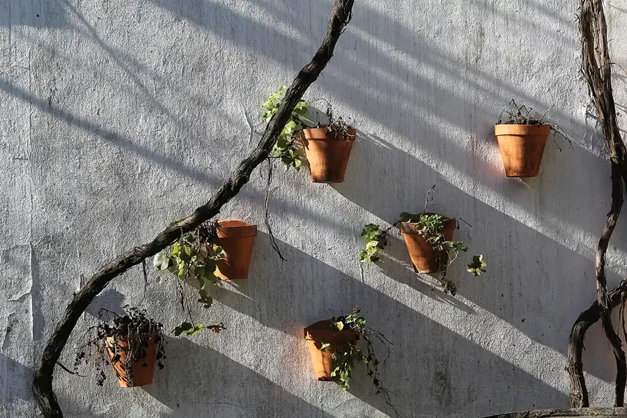 104 | 2013 | Jerez De La Frontera | Bodegas Sandeman | © carsten riede fotografie