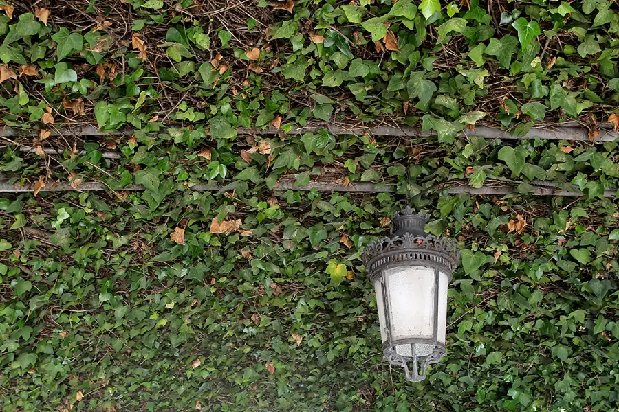 022 | 2013 | Cadiz | © carsten riede fotografie