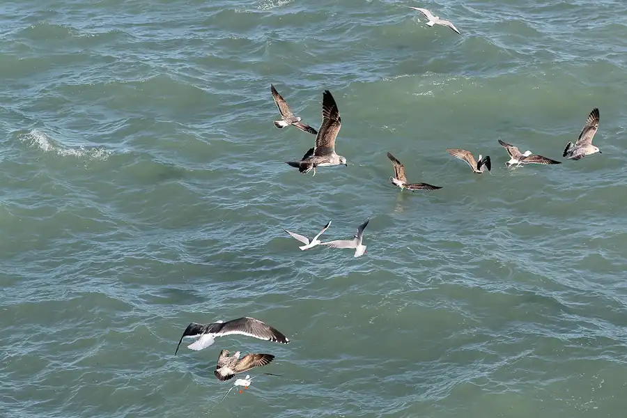 035 | 2013 | Cadiz | © carsten riede fotografie