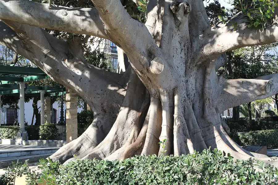 041 | 2013 | Cadiz | © carsten riede fotografie