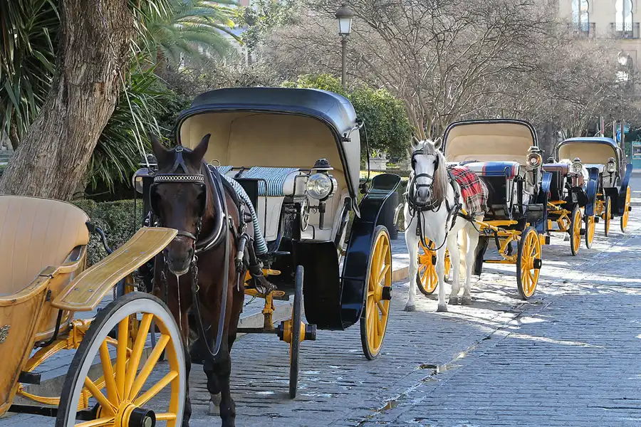 020 | 2013 | Sevilla | © carsten riede fotografie