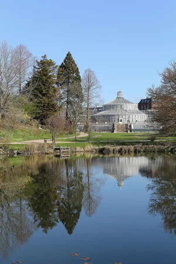003 | 2013 | København | Botanisk Have | © carsten riede fotografie
