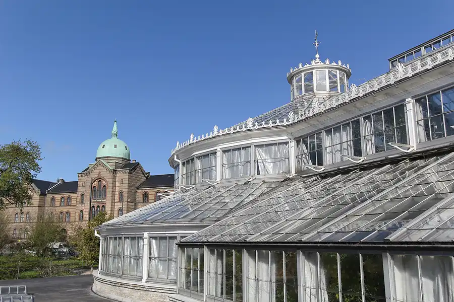 006 | 2013 | København | Botanisk Have | © carsten riede fotografie