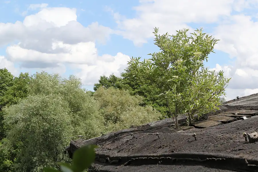 042 | 2013 | Eberswalde | Papierfabrik Wolfswinkel | © carsten riede fotografie