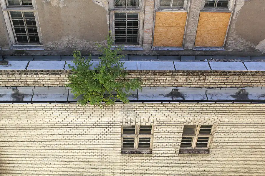 010 | 2013 | Berlin | Stadtbad Lichtenberg – Hubertusbad | © carsten riede fotografie