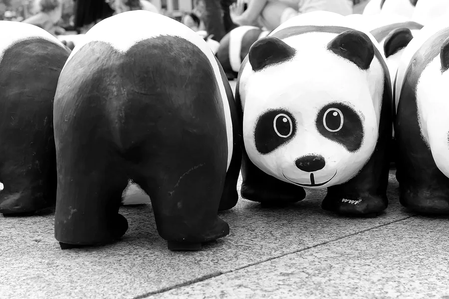 005 | 2013 | Berlin | 1600 Pandas on Tour | © carsten riede fotografie