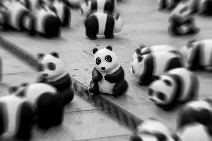 010 | 2013 | Berlin | 1600 Pandas on Tour | © carsten riede fotografie