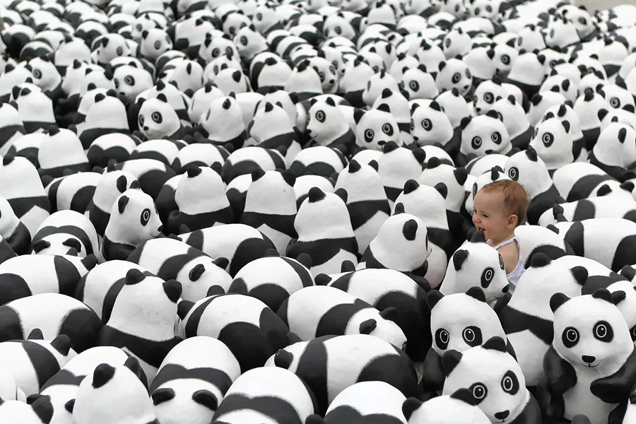 024 | 2013 | Berlin | 1600 Pandas on Tour | © carsten riede fotografie