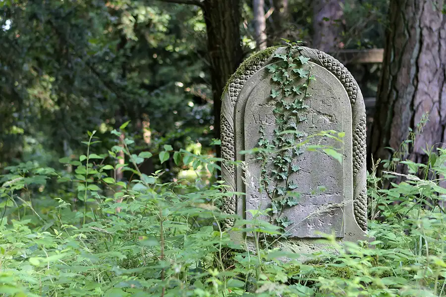012 | 2013 | Stahnsdorf | Südwestkirchhof | © carsten riede fotografie