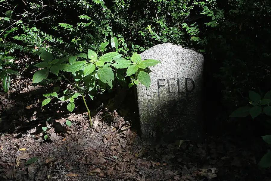 048 | 2013 | Stahnsdorf | Südwestkirchhof | © carsten riede fotografie