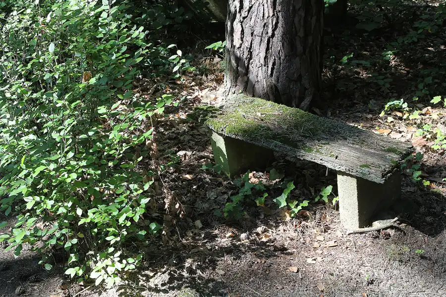 093 | 2013 | Stahnsdorf | Südwestkirchhof | © carsten riede fotografie