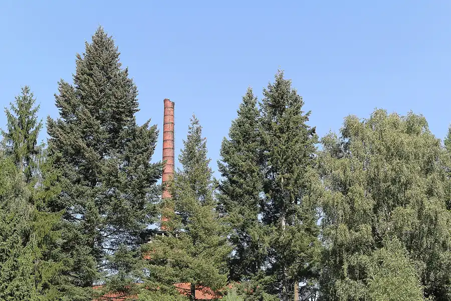 019 | 2013 | Grabowsee | Lungenheilstätte Grabowsee | © carsten riede fotografie