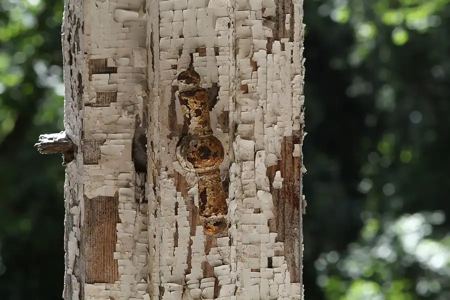 042 | 2013 | Grabowsee | Lungenheilstätte Grabowsee | © carsten riede fotografie
