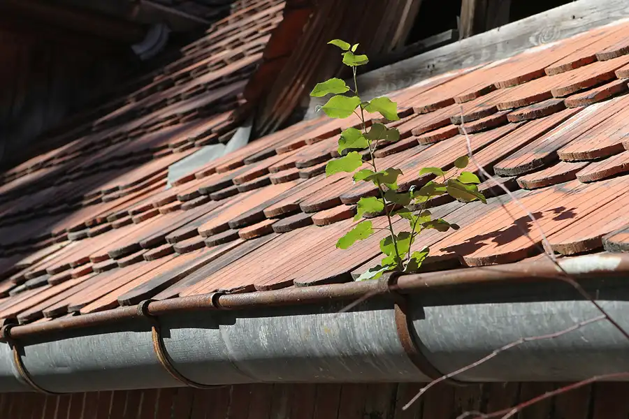 104 | 2013 | Grabowsee | Lungenheilstätte Grabowsee | © carsten riede fotografie