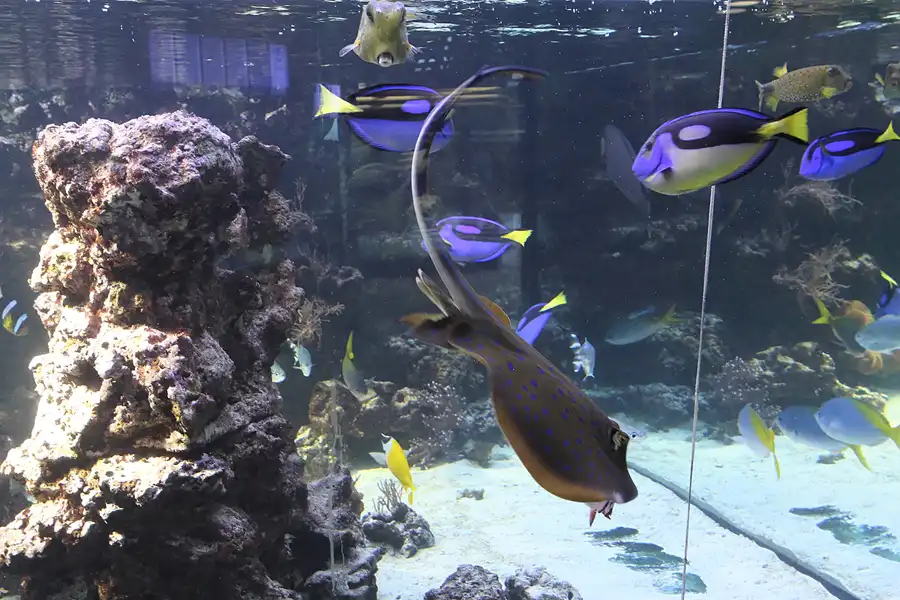 027 | 2013 | Stralsund | Meeresmuseum | © carsten riede fotografie