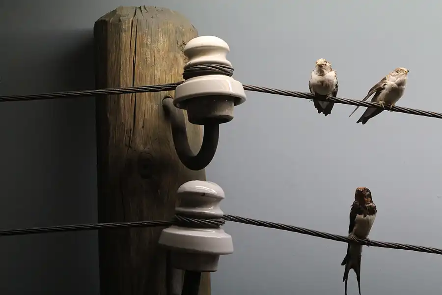 034 | 2013 | Stralsund | Meeresmuseum | © carsten riede fotografie