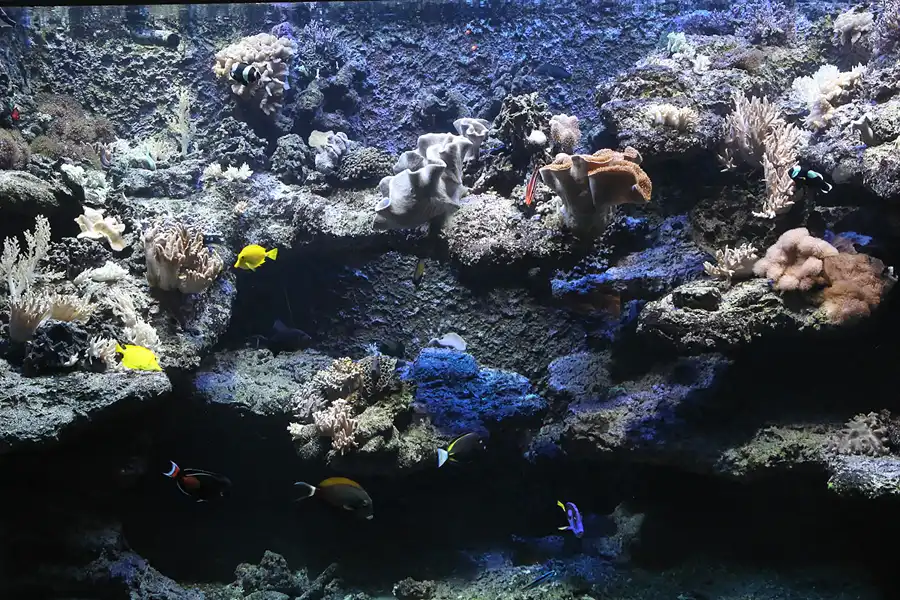 040 | 2013 | Stralsund | Meeresmuseum | © carsten riede fotografie