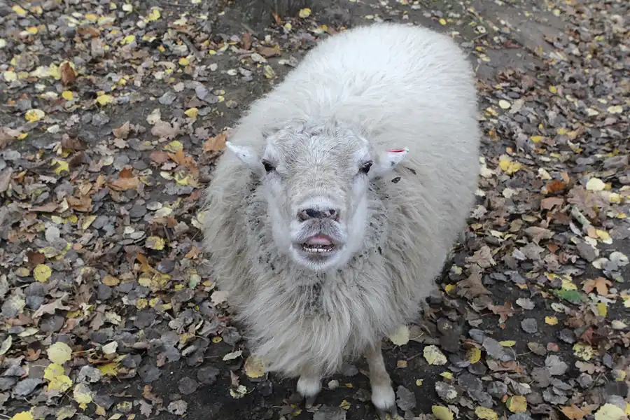068 | 2013 | Zirkow | Karls Erlebnis-Dorf | © carsten riede fotografie