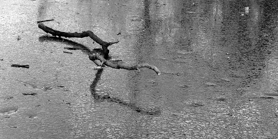 024 | 2014 | Berlin | Obersee-Orankesee-Park | © carsten riede fotografie