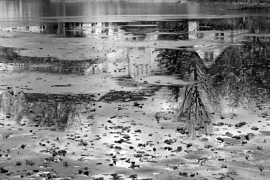 026 | 2014 | Berlin | Obersee-Orankesee-Park | © carsten riede fotografie