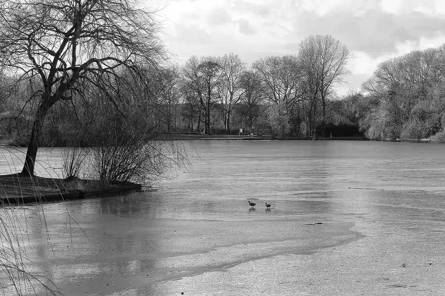 028 | 2014 | Berlin | Obersee-Orankesee-Park | © carsten riede fotografie