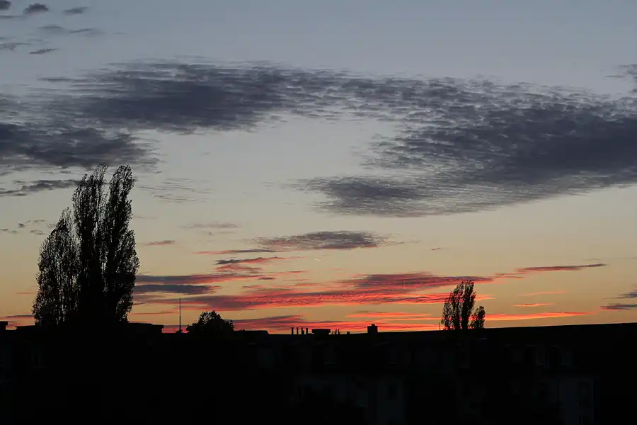 194 | 2014 | Berlin | © carsten riede fotografie