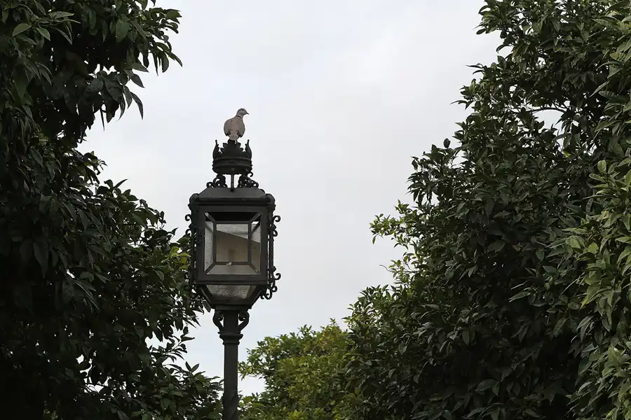 045 | 2014 | Jerez De La Frontera | © carsten riede fotografie
