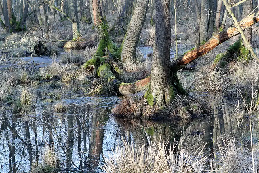 002 | 2014 | Vogelsang | Garnison Vogelsang | © carsten riede fotografie