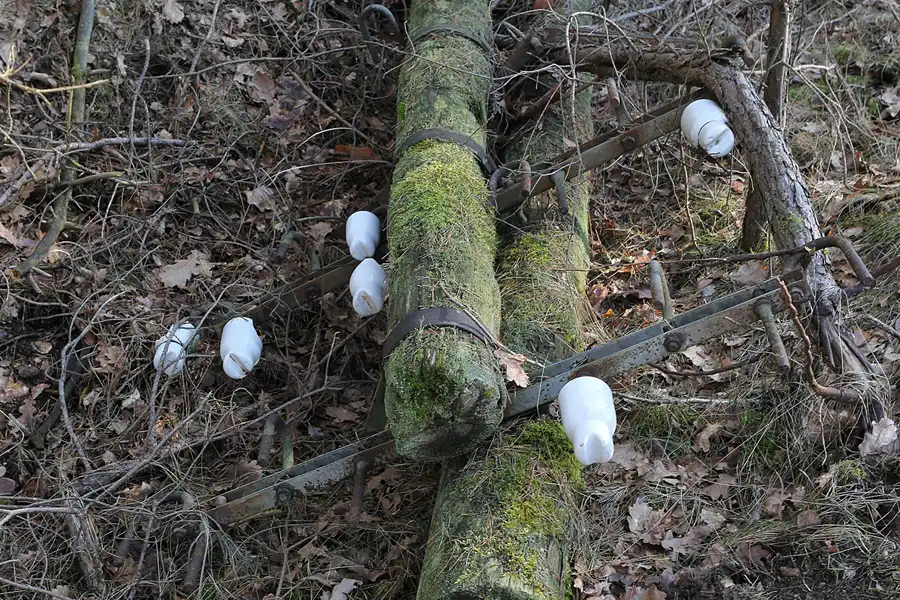 166 | 2014 | Vogelsang | Garnison Vogelsang | © carsten riede fotografie