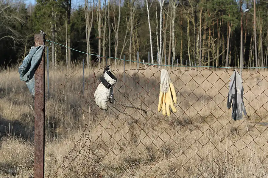 177 | 2014 | Vogelsang | © carsten riede fotografie