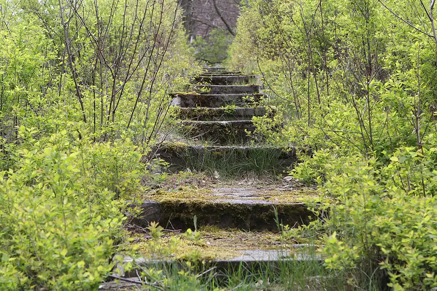 088 | 2014 | Hohenlychen | Heilanstalten Hohenlychen | © carsten riede fotografie