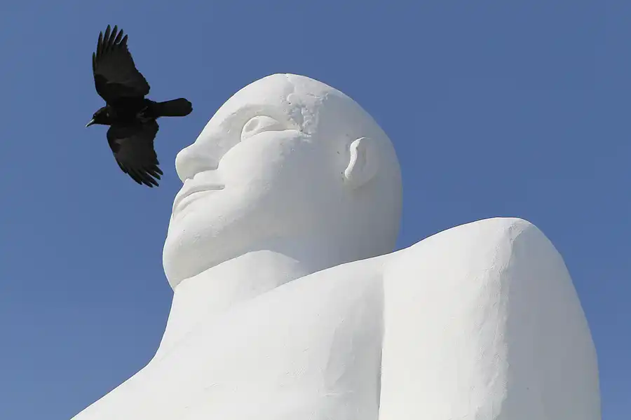 030 | 2014 | Esbjerg | Mennesket ved Haved | © carsten riede fotografie