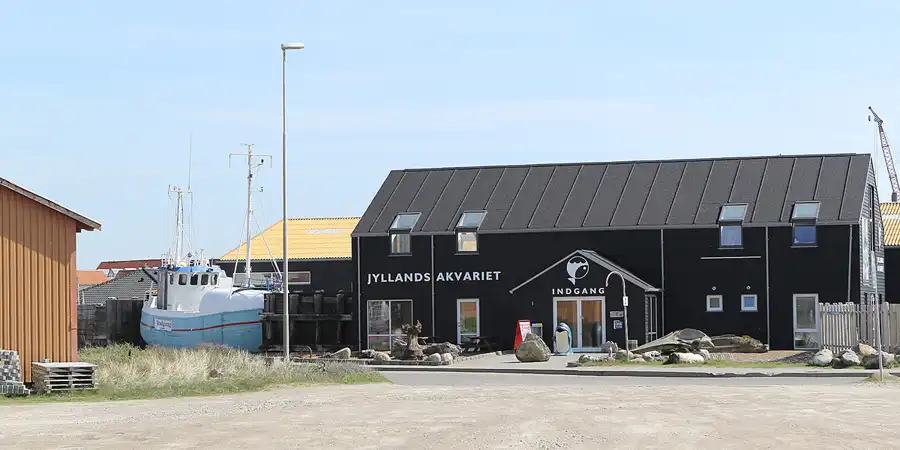 085 | 2014 | Thyboron | Jyllands Akvariet | © carsten riede fotografie