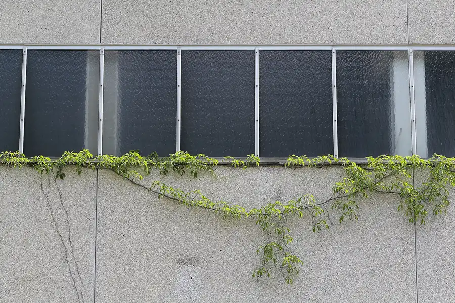 033 | 2014 | Berlin | Gelände der Klinik des Ministeriums für Staatssicherheit und Spezialklinik des Ministerrates der DDR | © carsten riede fotografie