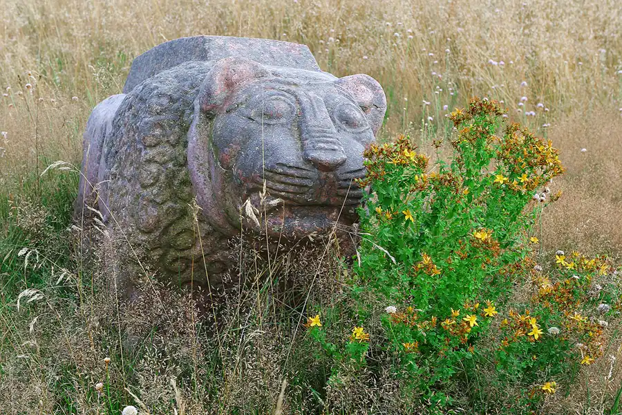011 | 2014 | Henzendorf | Findlingspark | © carsten riede fotografie