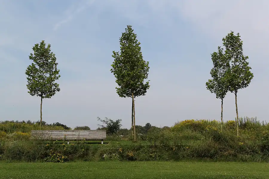 006 | 2014 | Ahlen | Zeche Westfalen | © carsten riede fotografie