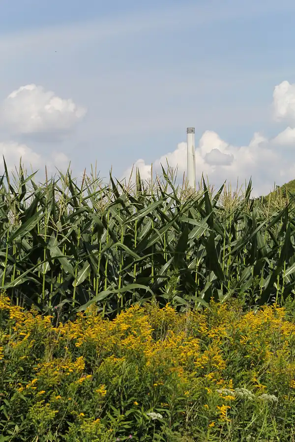 020 | 2014 | Bergkamen | Halde Grosses Holz | © carsten riede fotografie