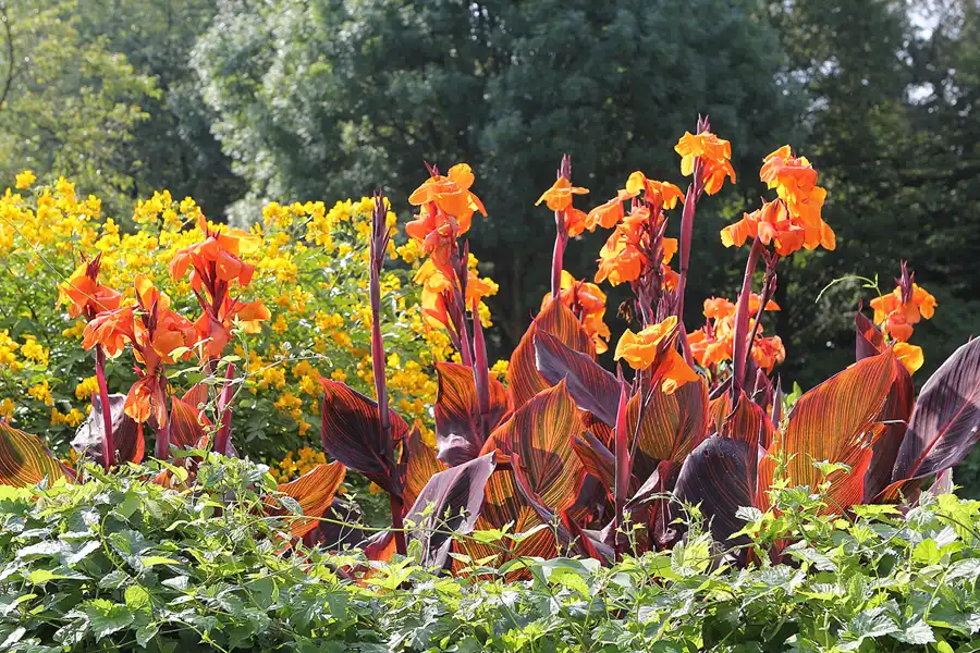028 | 2014 | Hamm | Maximilianpark | © carsten riede fotografie