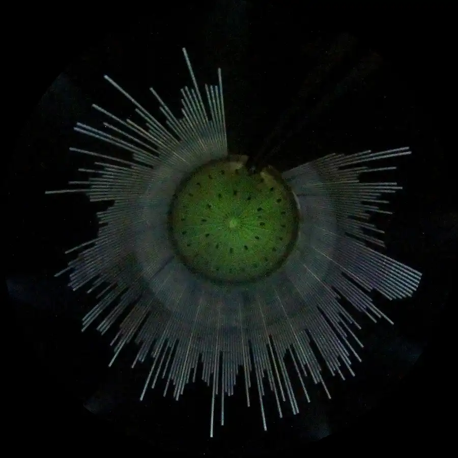 165 | 2014 | Oberhausen | Gasometer | © carsten riede fotografie