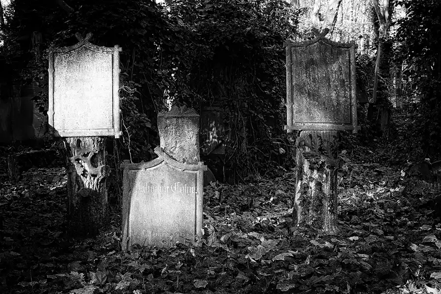 133 | 2014 | Berlin | Jüdischer Friedhof Berlin-Weissensee | © carsten riede fotografie