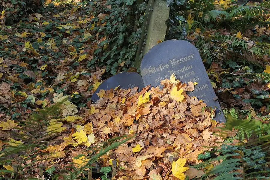 135 | 2014 | Berlin | Jüdischer Friedhof Berlin-Weissensee | © carsten riede fotografie