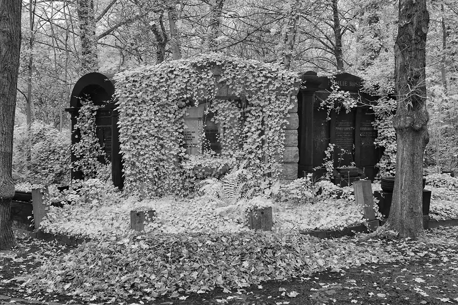 041 | 2014 | Berlin | Jüdischer Friedhof Berlin-Weissensee | © carsten riede fotografie