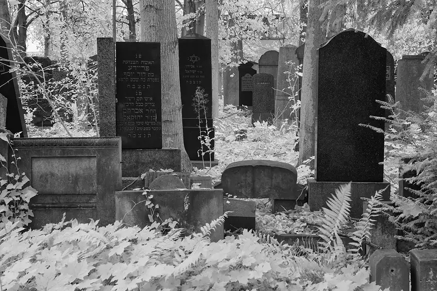 046 | 2014 | Berlin | Jüdischer Friedhof Berlin-Weissensee | © carsten riede fotografie