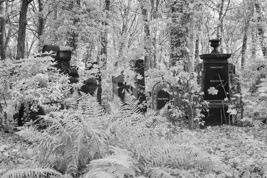 006 | 2014 | Berlin | Jüdischer Friedhof Berlin-Weissensee | © carsten riede fotografie