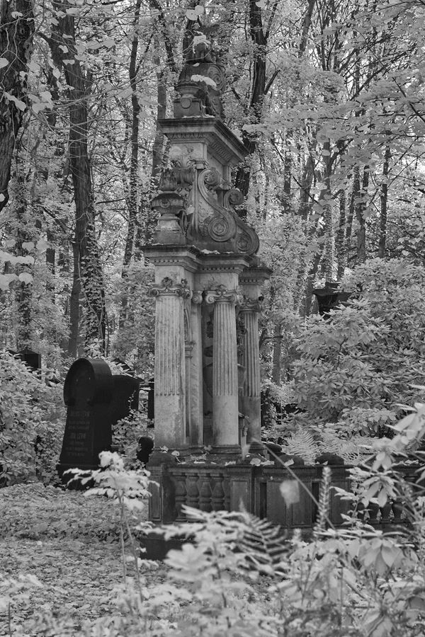 007 | 2014 | Berlin | Jüdischer Friedhof Berlin-Weissensee | © carsten riede fotografie